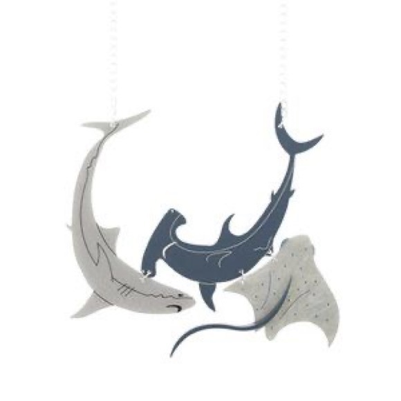 In search of la vidriola shark necklace
